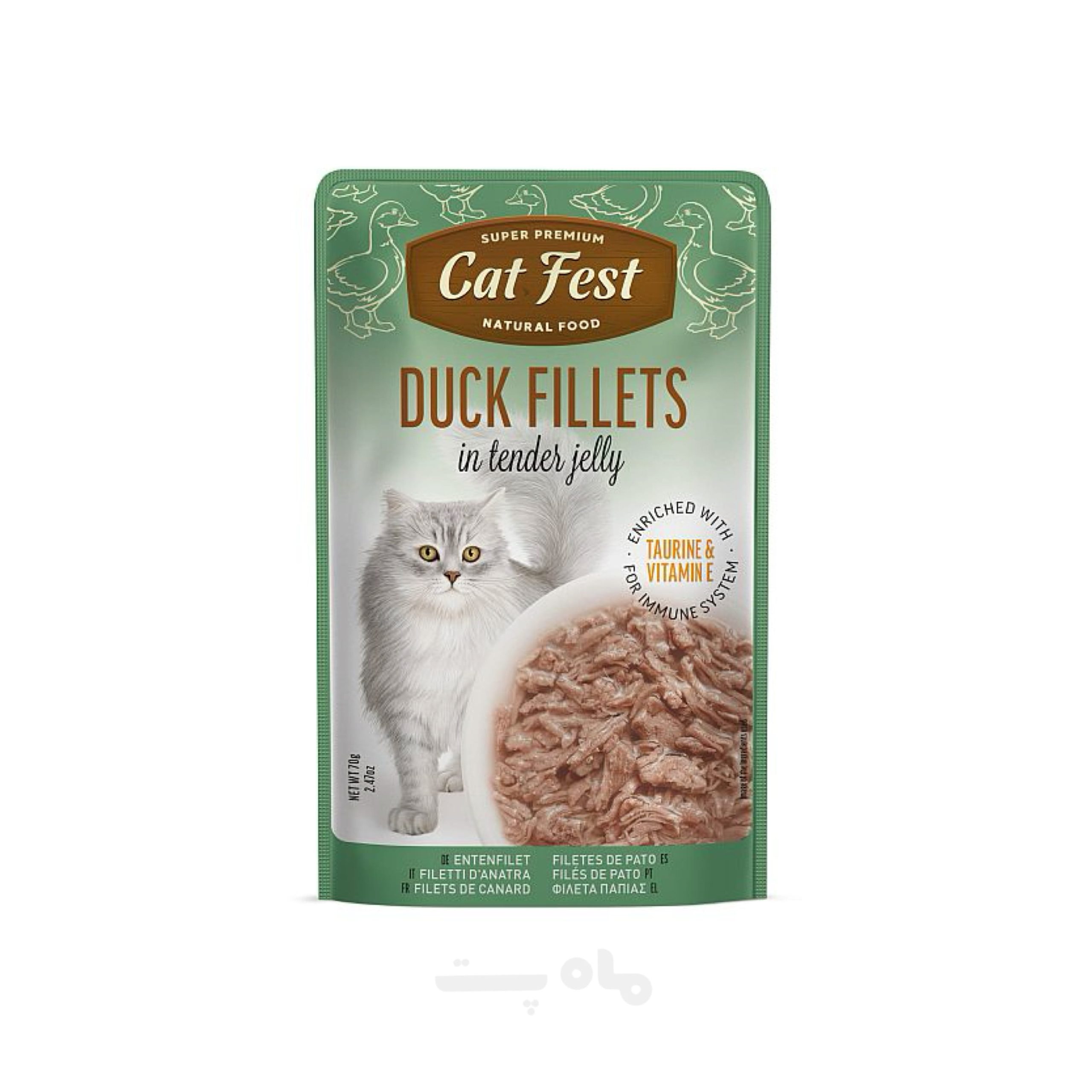 IMG_7684